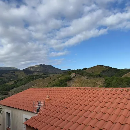 T3 A Banyuls-sur-mer, Proche - Fr-1-309-523 Lejlighed